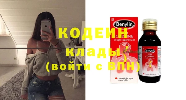 стафф Касимов
