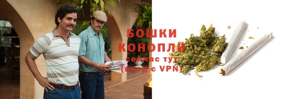 стафф Касимов