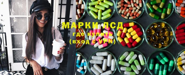 стафф Касимов