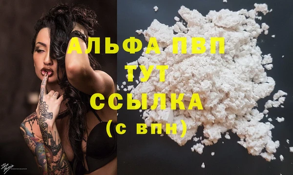 стафф Касимов