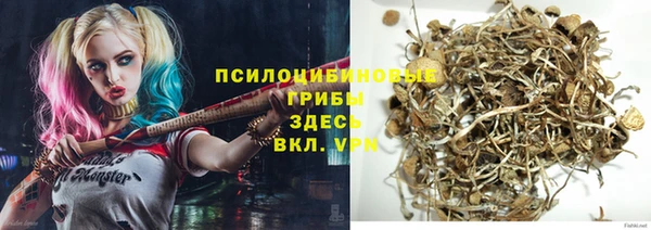 стафф Касимов