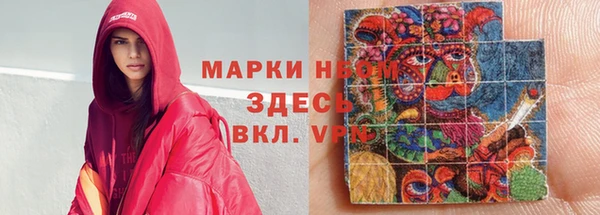 стафф Касимов