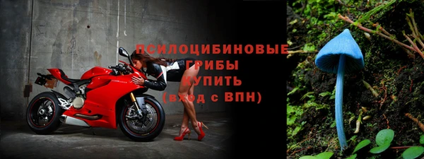 экстази Карпинск