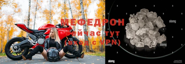 стафф Касимов