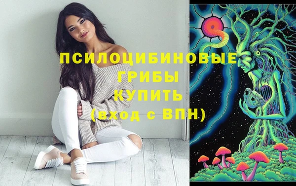 стафф Касимов