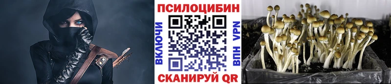 Галлюциногенные грибы ЛСД  Купить  Белокуриха 